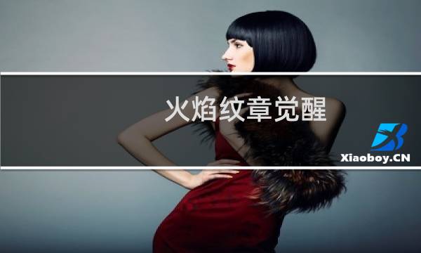 火焰纹章觉醒 dlc技能