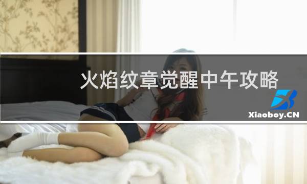 火焰纹章觉醒中午攻略