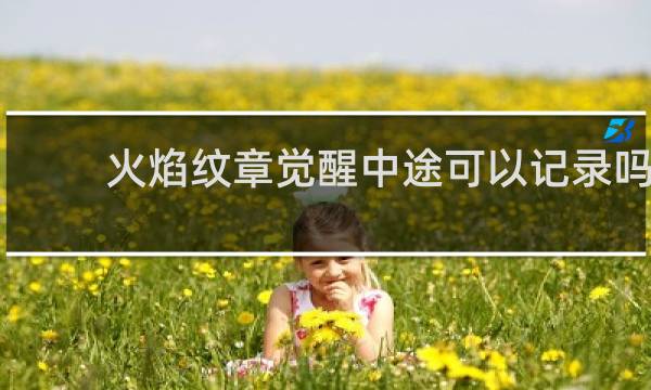 火焰纹章觉醒中途可以记录吗