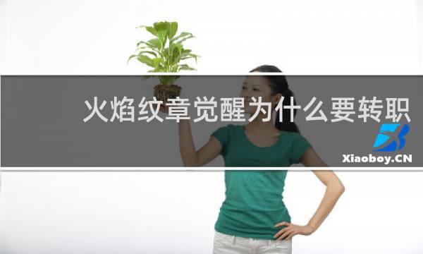火焰纹章觉醒为什么要转职
