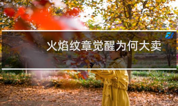 火焰纹章觉醒为何大卖