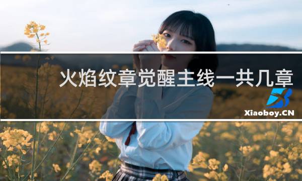火焰纹章觉醒主线一共几章