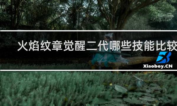 火焰纹章觉醒二代哪些技能比较好