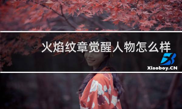 火焰纹章觉醒人物怎么样