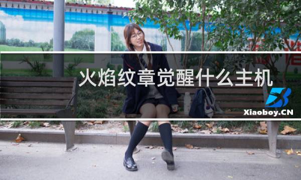 火焰纹章觉醒什么主机