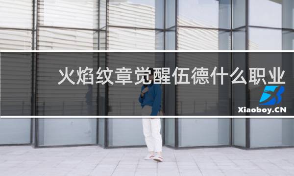 火焰纹章觉醒伍德什么职业