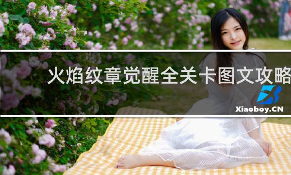 火焰纹章觉醒全关卡图文攻略