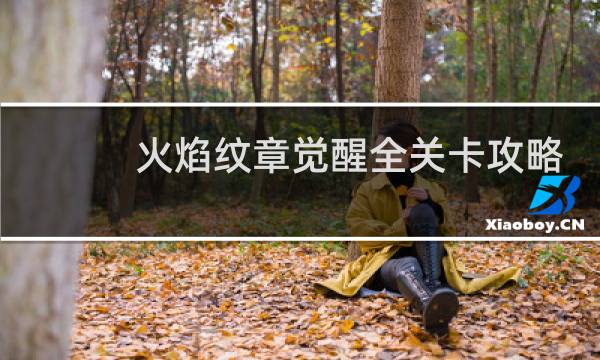 火焰纹章觉醒全关卡攻略