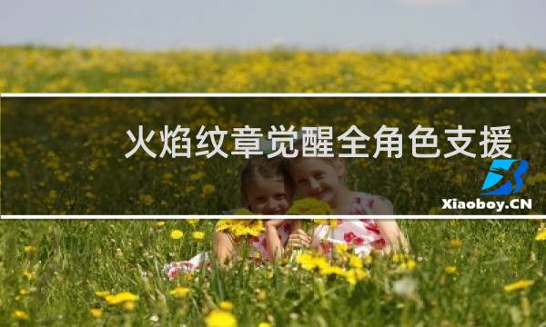 火焰纹章觉醒全角色支援
