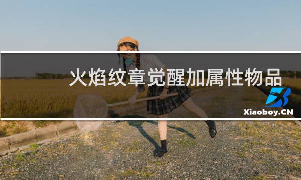 火焰纹章觉醒加属性物品