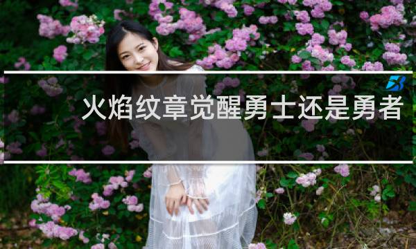 火焰纹章觉醒勇士还是勇者