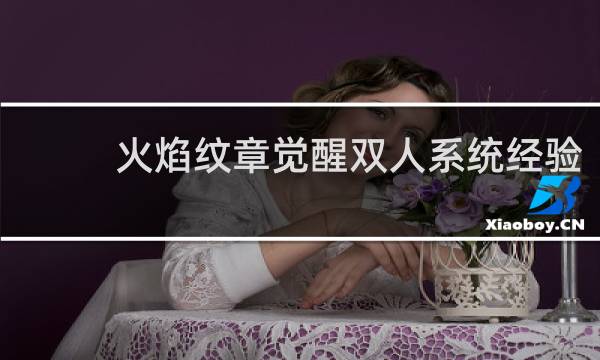 火焰纹章觉醒双人系统经验