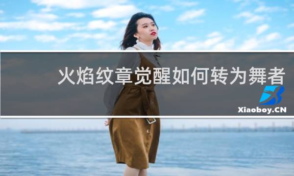 火焰纹章觉醒如何转为舞者