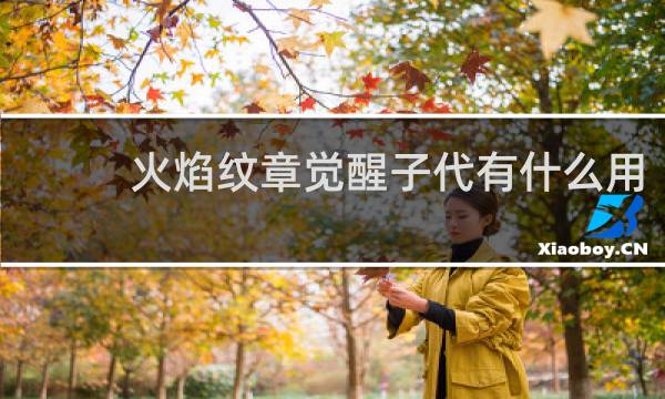 火焰纹章觉醒子代有什么用