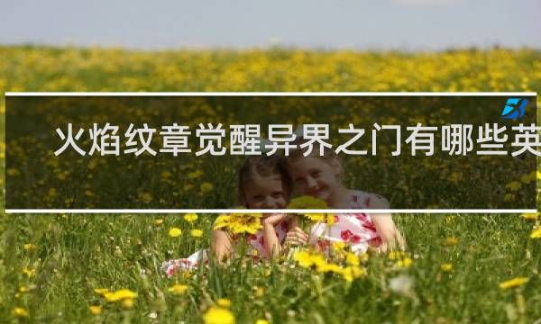 火焰纹章觉醒异界之门有哪些英雄