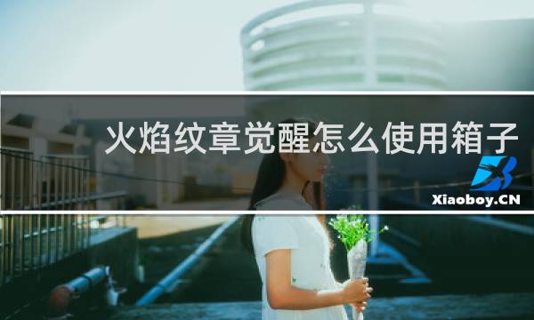 火焰纹章觉醒怎么使用箱子