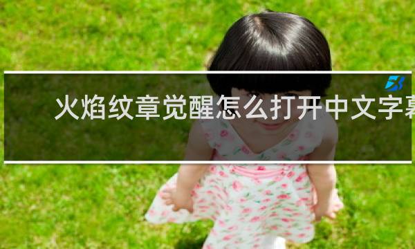 火焰纹章觉醒怎么打开中文字幕