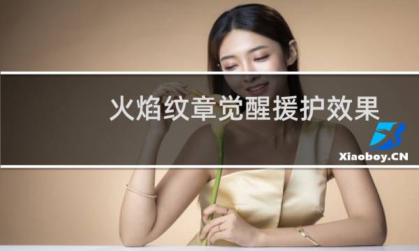 火焰纹章觉醒援护效果