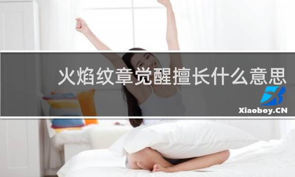 火焰纹章觉醒擅长什么意思