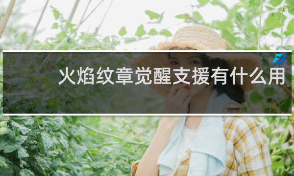 火焰纹章觉醒支援有什么用