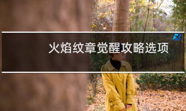 火焰纹章觉醒攻略选项