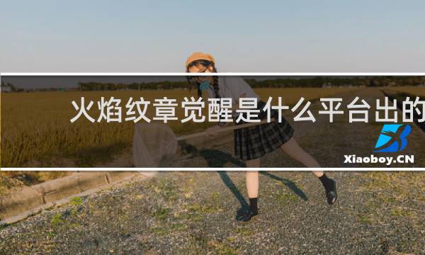 火焰纹章觉醒是什么平台出的