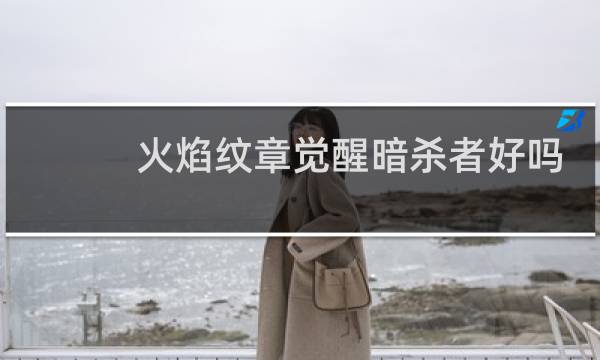 火焰纹章觉醒暗杀者好吗