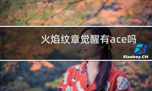 火焰纹章觉醒有ace吗