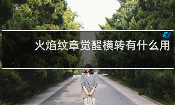 火焰纹章觉醒横转有什么用