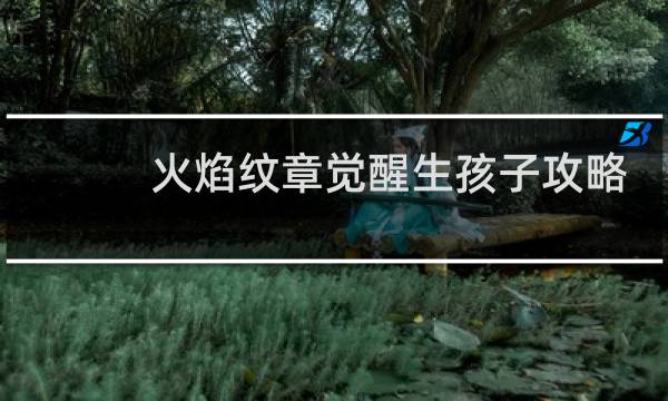 火焰纹章觉醒生孩子攻略