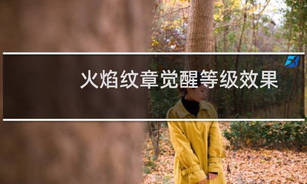 火焰纹章觉醒等级效果