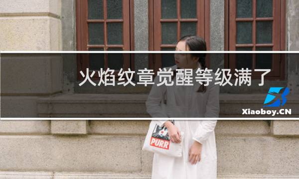 火焰纹章觉醒等级满了