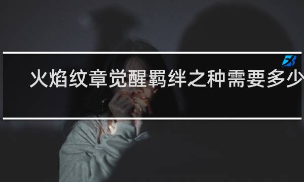 火焰纹章觉醒羁绊之种需要多少颗
