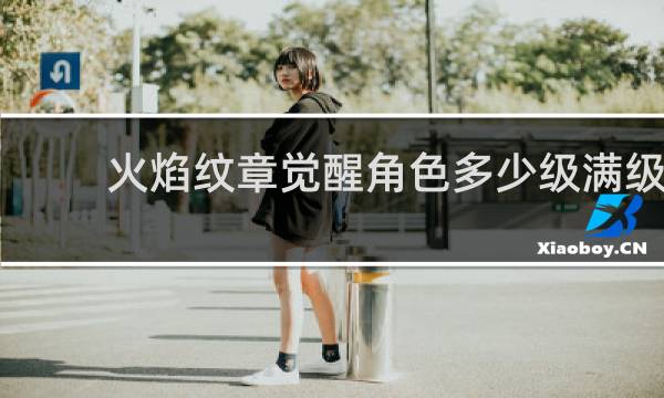 火焰纹章觉醒角色多少级满级
