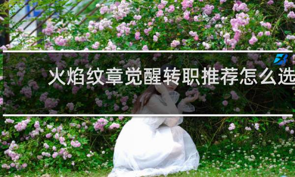 火焰纹章觉醒转职推荐怎么选