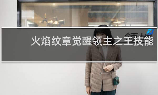 火焰纹章觉醒领主之王技能