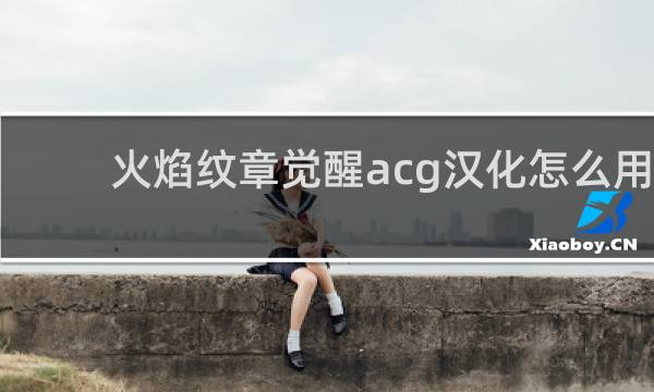 火焰纹章觉醒acg汉化怎么用