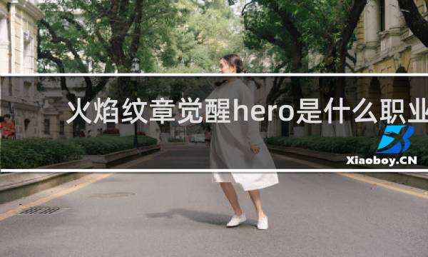 火焰纹章觉醒hero是什么职业