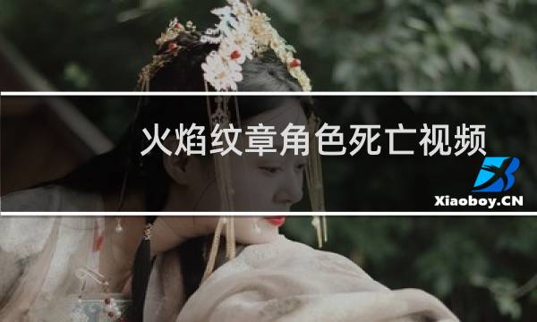 火焰纹章角色死亡视频