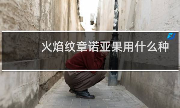 火焰纹章诺亚果用什么种