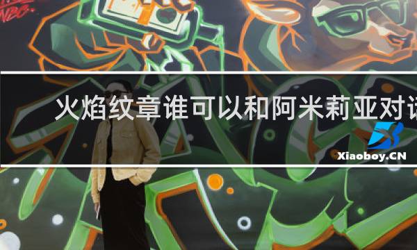 火焰纹章谁可以和阿米莉亚对话