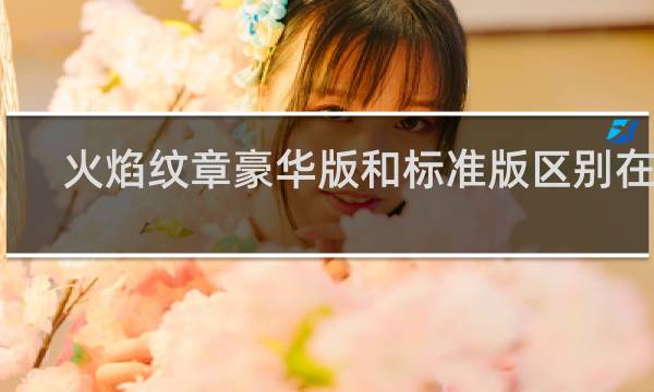 火焰纹章豪华版和标准版区别在哪