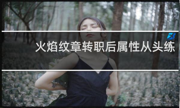 火焰纹章转职后属性从头练