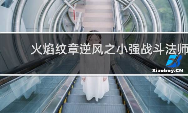 火焰纹章逆风之小强战斗法师