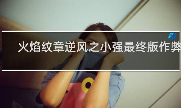 火焰纹章逆风之小强最终版作弊码
