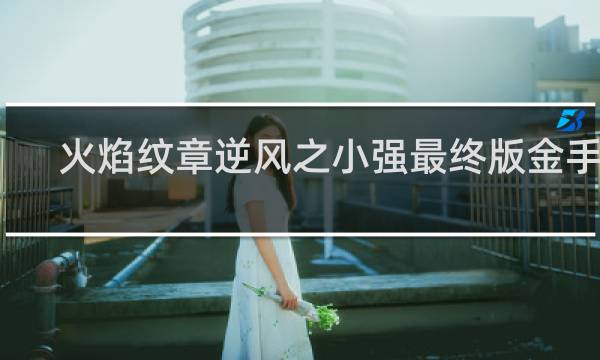 火焰纹章逆风之小强最终版金手指