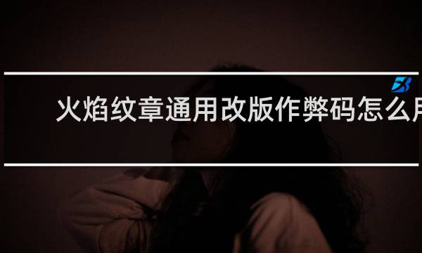 火焰纹章通用改版作弊码怎么用