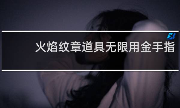 火焰纹章道具无限用金手指