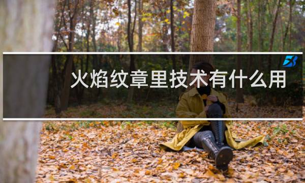 火焰纹章里技术有什么用