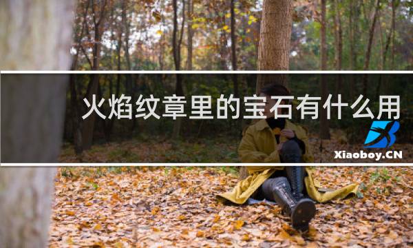 火焰纹章里的宝石有什么用